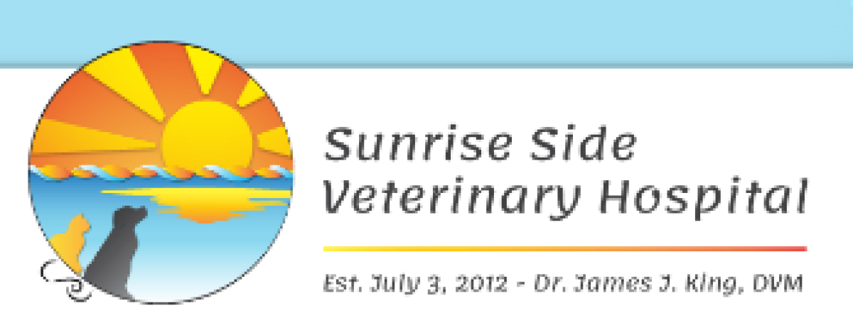 Sunrise Side Veterinary Hospital - Construction